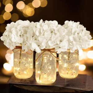Set of 3 Mason Jar Lights, White Hy...