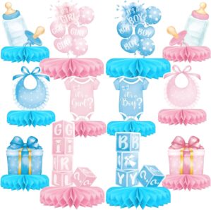 Gender Reveal Decoration Set –...