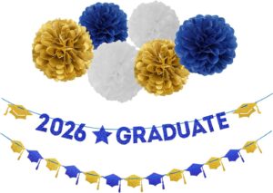 Navy-Blue White-Gold Party-Decorati...