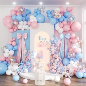 Gender Reveal Balloon Garland Arch ...