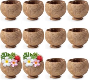 Hushee 12 Pcs Natural Coconut Shell...