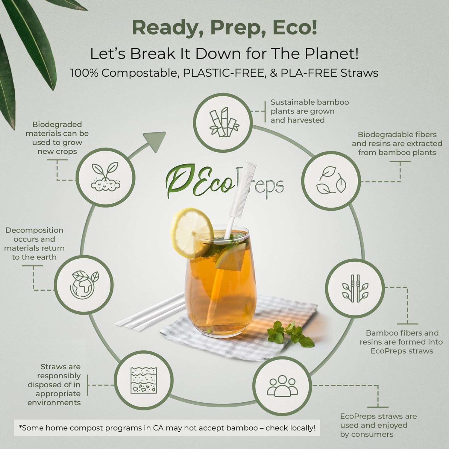 EcoPreps Biodegradable Bamboo Fiber Straws, Plastic-Free Individually Wrapped Straws | 100 Count, 100% Compostable, Eco-Friendly Drinking Straw | 7.8'' Plant Fiber Disposable Straw in White Paper Wrap - Image 6