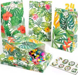 Shindel 24 Pack Tropical Hawaii Par...