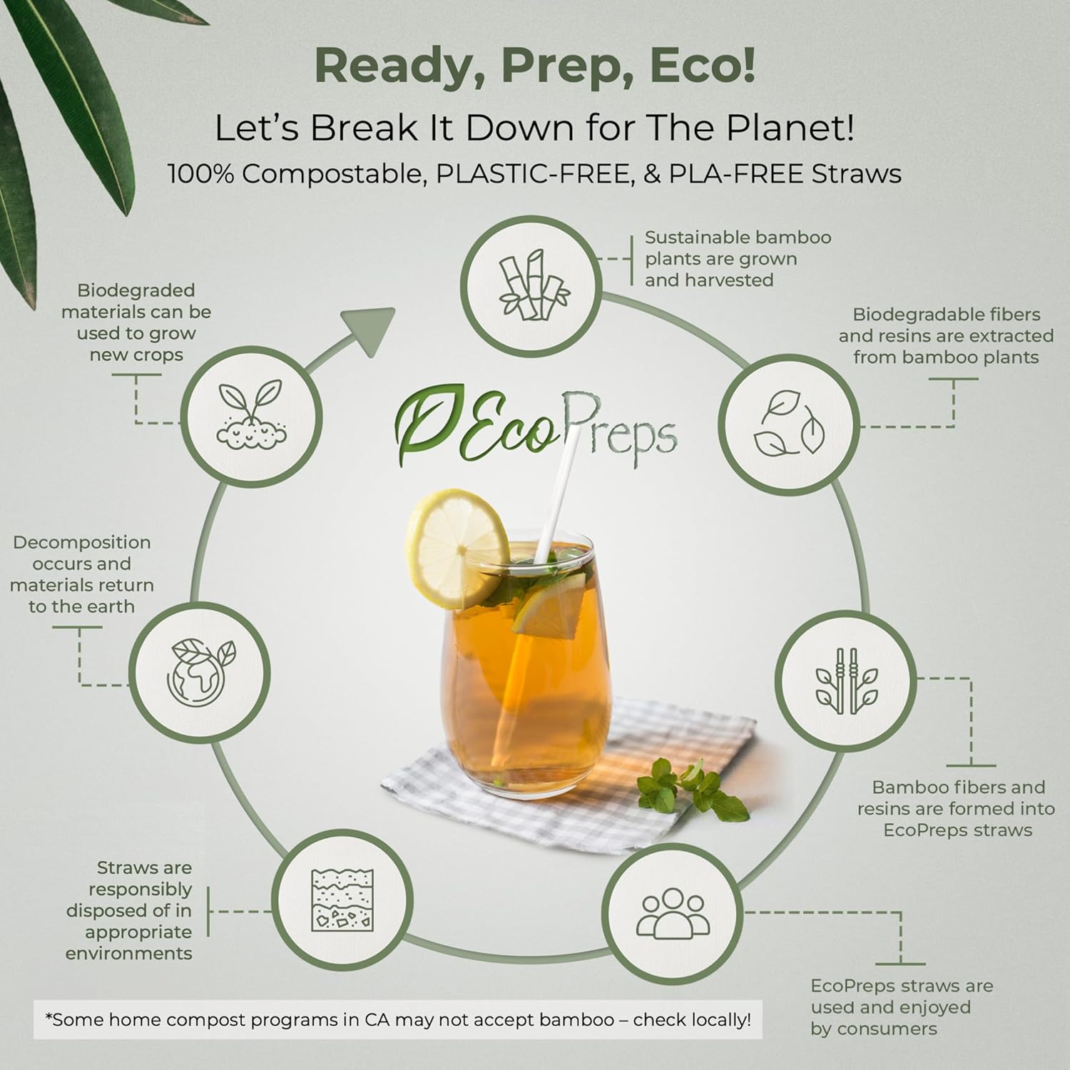 EcoPreps Biodegradable Bamboo Fiber Straws | 300 Count, 100% Compostable, Plastic-Free, Eco-Friendly Drinking Straw | 7.8'' Plant Fiber Disposable Straws, White Straw | Durable for Warm & Cold Drinks - Image 6