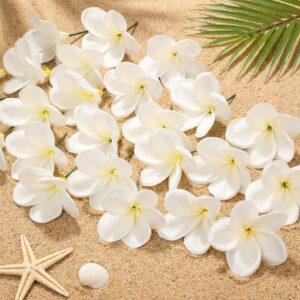 Tigeen 30 Pcs Hawaiian Plumeria Fra...