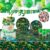 208pcs Dinosaur Birthday Party Decorations For Boys, Dinosaur Themes Birthday Party Supplies Serve 20 with Disposable Plates,Napkins,Cups,Cutlery Set, Banner,Tablecloth,Cake Topper,Ballons,Stickers